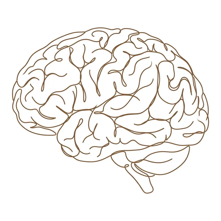 Un cerveau dessiné à la main qui reçoit quatre signaux dorés
